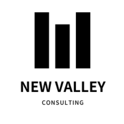 NewValley Consulting, LLC